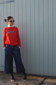 Zara TRF Pleat front denim culottes (last season)