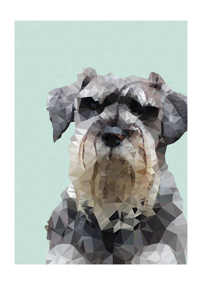 tindesign-schnauzer